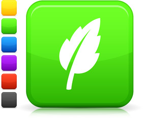 green leaf  icon on square internet button