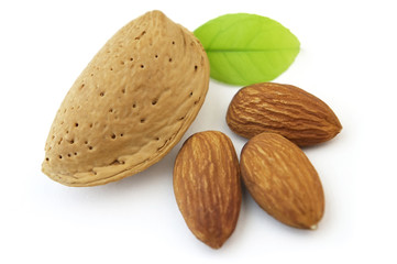 Almond with kernel