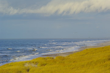 Ringköbingfjord Dünenlandschaft 2