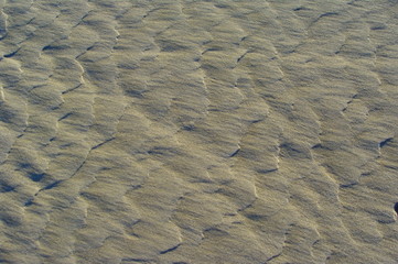Schuppige Sandverwehung