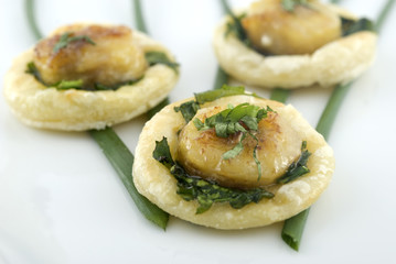 Scallop appetizer