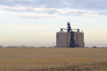 Fototapeta na wymiar Modern Grain Elevator on the Prarie