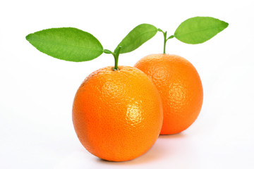 Fresh oranges on white