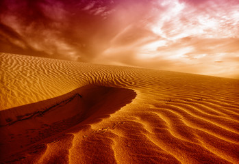 desert sahara sunset