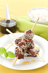 chicken skewer with sesame and soy sauce