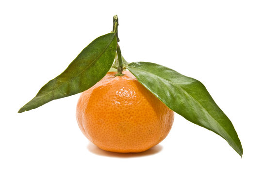 mandarina