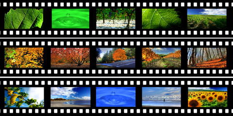 Diapositives d'images