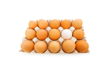 Stand out of crowd concept with eggs on white