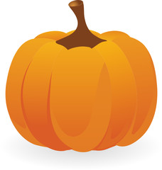 vector cucurbit isolated on a white background