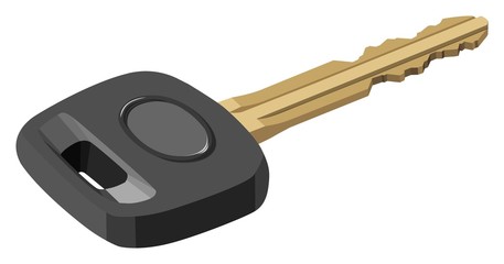 vector key