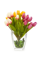 Colourful tulips isolated on the white background