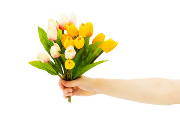 Hands holding tuplis isolated on the white