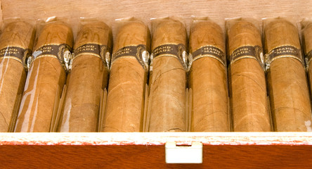 Cigars
