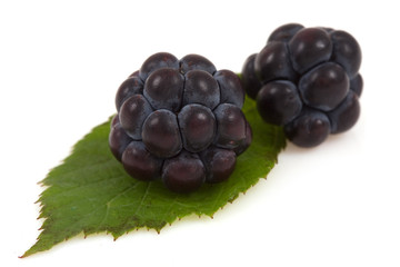 Blackberry on isolated