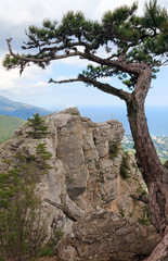 view of Yalta city from slope of Aj-Petri Mount (Ukraine)