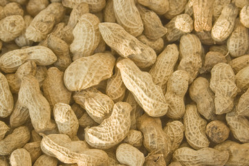 Peanut