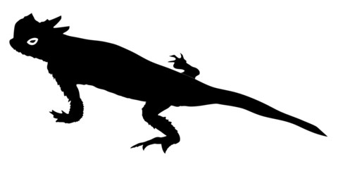 Obraz premium desert horned lizard