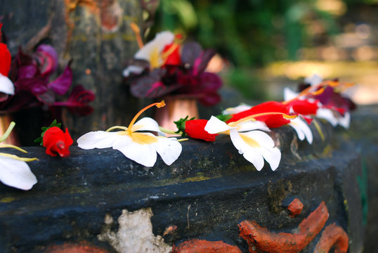 petals for worship of hindu