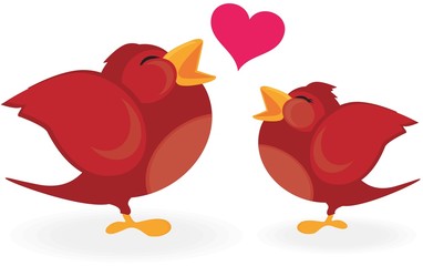 birds in love
