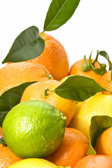 Composicion de citricos