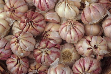 Aglio rosso (Allium Sativum)