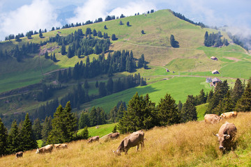 Fototapeta na wymiar Alps landscape