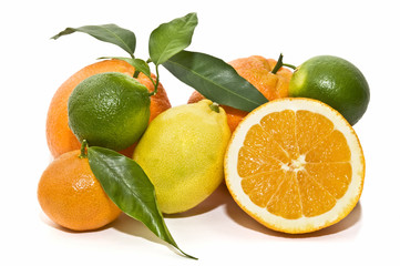 Obraz na płótnie Canvas Pomarańcze i odmian cytrusów