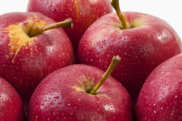 Apfel rot