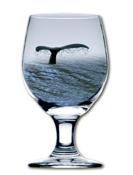 Wal im Glas
