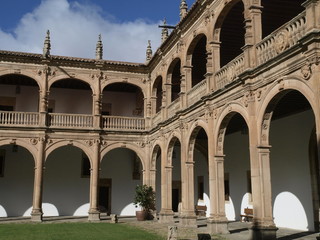 Obraz premium Palacio del Arzobispo Fonseca en Salamanca