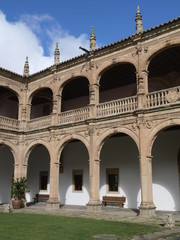 Fototapeta premium Patio del Palacio de los Fonseca en Salamanca