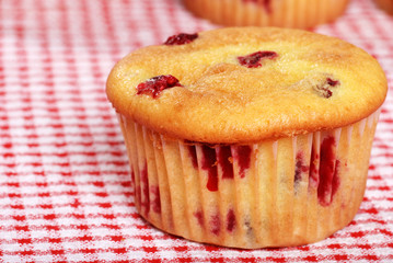 closeup lemon cranberry muffin shallow DOF