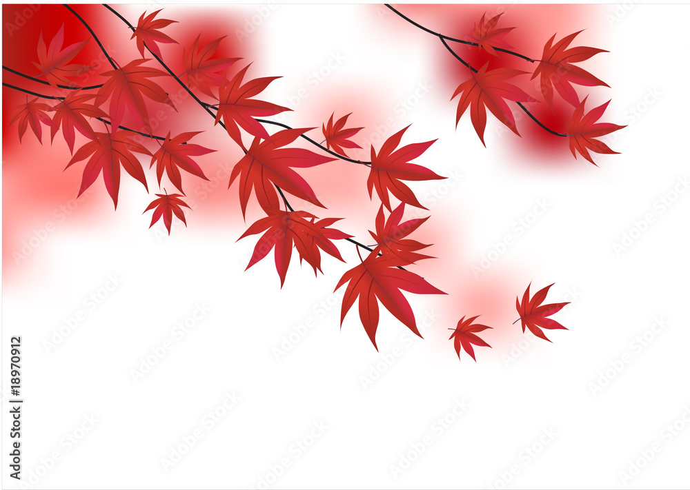 Wall mural red vector branch of maple
