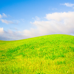 gentle hill in a beautiful field - 18972341