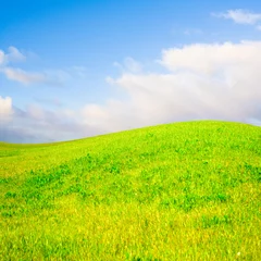 Fotobehang gentle hill in a beautiful field © alma_sacra
