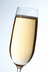 Glass of Champagne