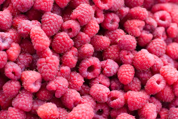 Ripe red raspberries as background