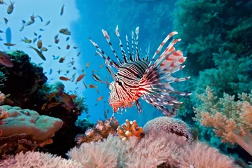 Deurstickers Lionfish op het koraalrif © crisod