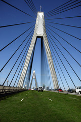 Naklejka premium Anzac Bridge in Sydney Covered in Grass
