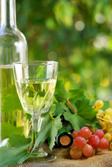Bottle of wine and grappes.