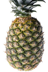 pineapple macro