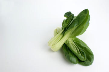 fresh organic pak choi on a white background