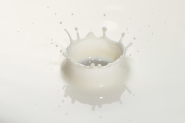 Milk drop