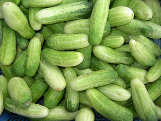 Thai cucumbers, Thailand.