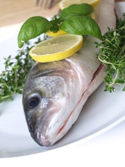 Raw fresh sea bass with herbs and lemon