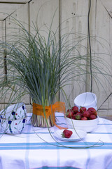 Bouquet of herbs decorate the table.