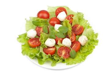 salad with tomatoes and mozzarella isolated