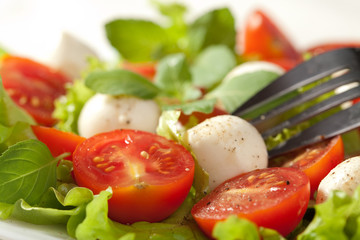 salad with tomatoes and mozzarella