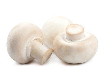 fresh mushrooms isolated