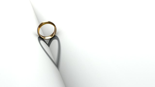 Wedding Ring Book